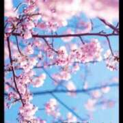 ヒメ日記 2026/03/27 16:26 投稿 すみれ 熟女家 京橋店