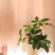 ヒメ日記 2026/03/29 06:50 投稿 すみれ 熟女家 京橋店