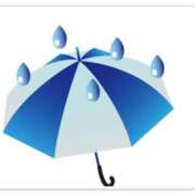 すみれ …また　雨… 熟女家 京橋店