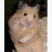 ヒメ日記 2026/03/28 10:13 投稿 ゆら ドMバスターズ岡崎・安城・豊田店