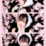 ヒメ日記 2026/04/18 14:03 投稿 ゆら ドMバスターズ岡崎・安城・豊田店