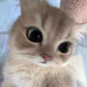 ヒメ日記 2026/04/19 10:22 投稿 ゆら ドMバスターズ岡崎・安城・豊田店