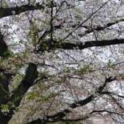 ヒメ日記 2026/04/06 18:30 投稿 なな One More奥様 大宮店