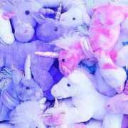 ヒメ日記 2026/08/05 17:10 投稿 らん eroina