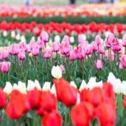 ヒメ日記 2026/03/24 21:02 投稿 なみ 東京♂風俗の神様 町田・相模原店