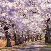 ヒメ日記 2026/03/31 21:41 投稿 なみ 東京♂風俗の神様 町田・相模原店