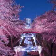 ヒメ日記 2026/04/16 21:31 投稿 なみ 東京♂風俗の神様 町田・相模原店