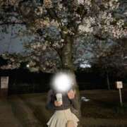 ヒメ日記 2026/04/12 14:51 投稿 莉鈴【リズ】 ピンクコレクション大阪