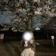 莉鈴【リズ】 15:00〜♡ ピンクコレクション尼崎店