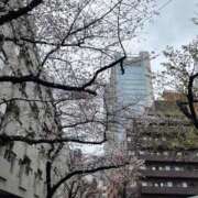 ヒメ日記 2026/03/26 16:23 投稿 ゆな★男性経験1人の素人美少女 Chloe五反田本店　S級素人清楚系デリヘル