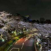 ヒメ日記 2026/04/07 17:02 投稿 ゆな★男性経験1人の素人美少女 Chloe五反田本店　S級素人清楚系デリヘル