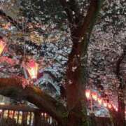 ヒメ日記 2026/04/18 19:13 投稿 ゆな★男性経験1人の素人美少女 Chloe五反田本店　S級素人清楚系デリヘル