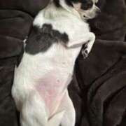 ヒメ日記 2026/04/04 09:07 投稿 えな MONTE(モンテ)