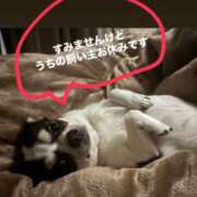 ヒメ日記 2026/04/15 10:39 投稿 えな MONTE(モンテ)