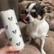 ヒメ日記 2026/04/17 03:05 投稿 えな MONTE(モンテ)