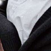 ヒメ日記 2026/03/15 10:50 投稿 竹内さや【OL委員会】 柏OL委員会