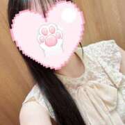 ヒメ日記 2026/03/10 14:17 投稿 ことは アラモード