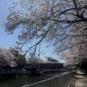 ヒメ日記 2026/04/09 14:02 投稿 あんず 集え！おっぱい好きたち！もんだ～ら