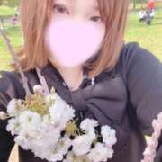 ヒメ日記 2026/04/15 17:15 投稿 曽我りんか 五反田発 痴漢電車or全裸入室