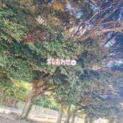 白金あれん 休日の時間 AJ DOLLS(エージェイドールズ)