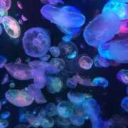 ヒメ日記 2026/03/07 11:48 投稿 月城みれな お姉さんCLUB