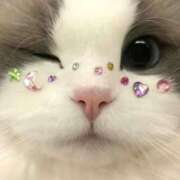 ヒメ日記 2026/04/06 22:49 投稿 月城みれな お姉さんCLUB