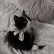 ヒメ日記 2026/04/27 23:57 投稿 月城みれな お姉さんCLUB