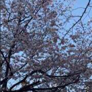 ヒメ日記 2026/05/01 13:27 投稿 健屋かな お姉さんCLUB