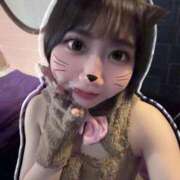 ヒメ日記 2026/06/13 10:19 投稿 ゆりあ JAPAN CLUB BUNNY LOUNGE