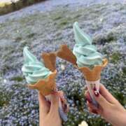 ヒメ日記 2026/04/27 16:00 投稿 らいむ クラブ バレンタイン大阪