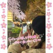 ヒメ日記 2026/04/24 09:42 投稿 きい Seirenes (セイレネス)