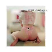 ヒメ日記 2026/06/11 10:42 投稿 ひおり 折り紙 ORIGAMI