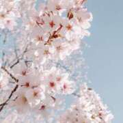 ヒメ日記 2026/03/08 16:59 投稿 神野える 絢(あや)