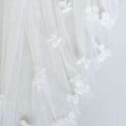 ヒメ日記 2026/03/12 00:18 投稿 神野える 絢(あや)