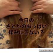 ヒメ日記 2026/04/18 08:14 投稿 さとか 丸妻 新横浜店