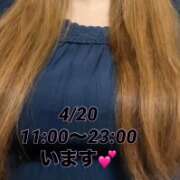 ヒメ日記 2026/04/20 20:33 投稿 さとか 丸妻 新横浜店