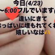ヒメ日記 2026/04/23 09:35 投稿 さとか 丸妻 新横浜店