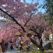 ヒメ日記 2026/03/06 16:15 投稿 りと an_an（アンアン）