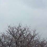 ヒメ日記 2026/04/01 11:30 投稿 あめ an_an（アンアン）