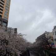 ヒメ日記 2026/04/03 10:00 投稿 あめ an_an（アンアン）