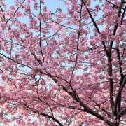 ヒメ日記 2026/03/07 17:30 投稿 ちひろ an_an（アンアン）