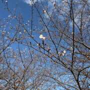 ヒメ日記 2026/03/30 22:09 投稿 まや an_an（アンアン）