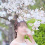 ヒメ日記 2026/03/27 22:01 投稿 まお ぐっすり山田　名古屋店