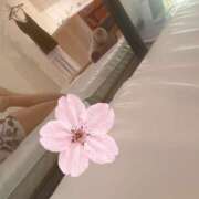 ヒメ日記 2026/04/08 18:41 投稿 桐原　まひる かりそめ