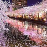 ヒメ日記 2026/03/31 18:38 投稿 舟橋　ひなの 30・40・50代☆人妻熟女コレクション