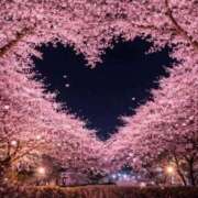 ヒメ日記 2026/04/08 22:16 投稿 舟橋　ひなの 30・40・50代☆人妻熟女コレクション