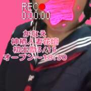 ヒメ日記 2026/03/13 12:20 投稿 かなえ モアグループ神栖人妻花壇