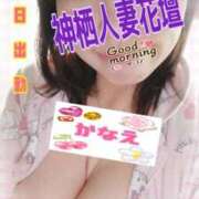 ヒメ日記 2026/03/15 08:03 投稿 かなえ モアグループ神栖人妻花壇