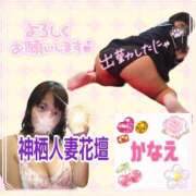 ヒメ日記 2026/03/15 09:44 投稿 かなえ モアグループ神栖人妻花壇