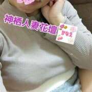 ヒメ日記 2026/03/15 11:26 投稿 かなえ モアグループ神栖人妻花壇